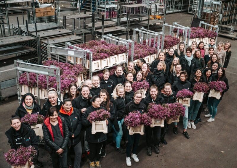 Floral Trade Group | Een Familie Van Sierteeltbedrijven